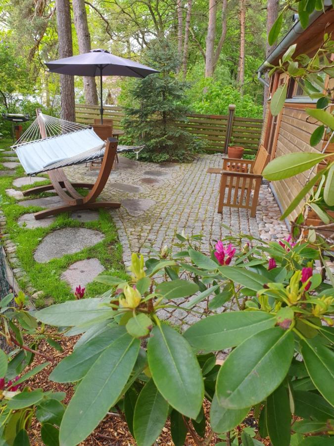 Small Pini & Holiday home