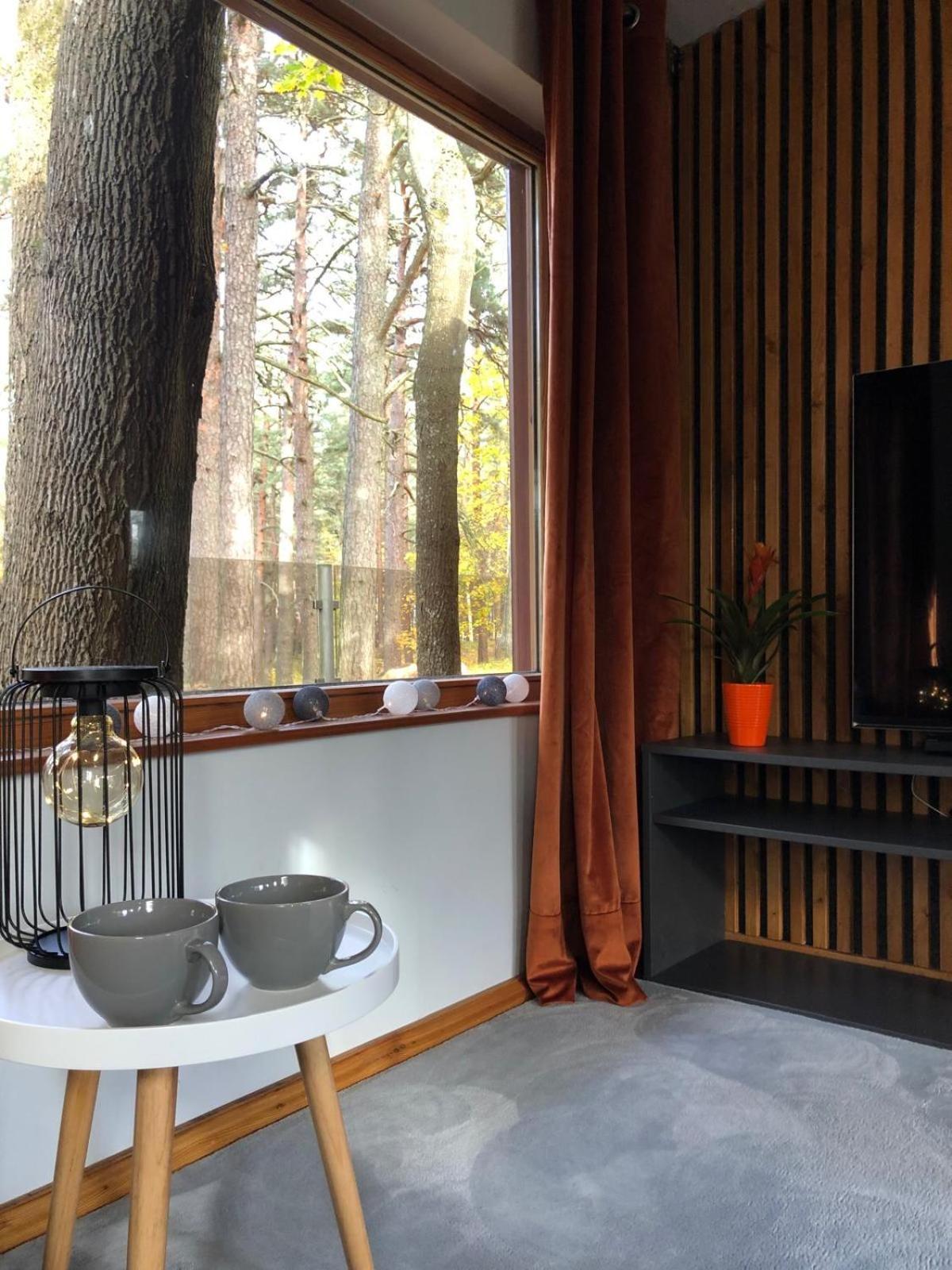 Small Pini & Holiday home Jurmala